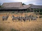 фото отеля Kilaguni Serena Safari Lodge