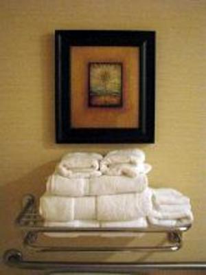 фото отеля Embassy Suites Tampa - Brandon