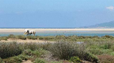 фото отеля Cortijo El Pozuelo