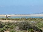 фото отеля Cortijo El Pozuelo