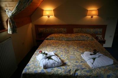 фото отеля Hotel Plesnik