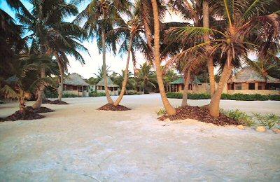 фото отеля Costa de Cocos