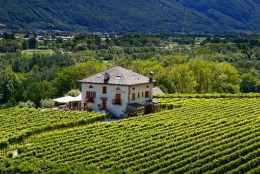 фото отеля Fattoria l'Amorosa Hotel Gudo