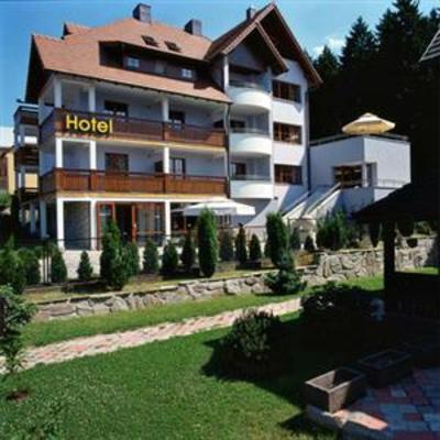 фото отеля Hotel Rydz