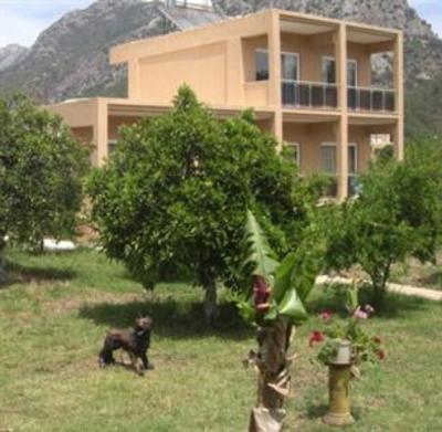 фото отеля Hotel Narcicegi
