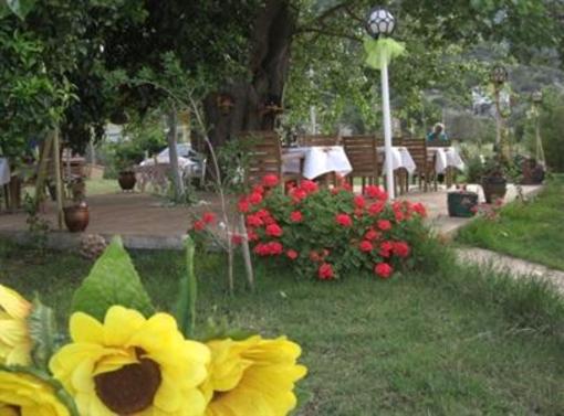 фото отеля Hotel Narcicegi