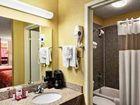 фото отеля Econo Lodge Conroe The Woodlands