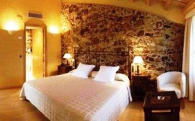 фото отеля Hotel Mas Roig