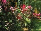 фото отеля Palms at Trinity Holiday Apartments Cairns