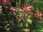 фото отеля Palms at Trinity Holiday Apartments Cairns