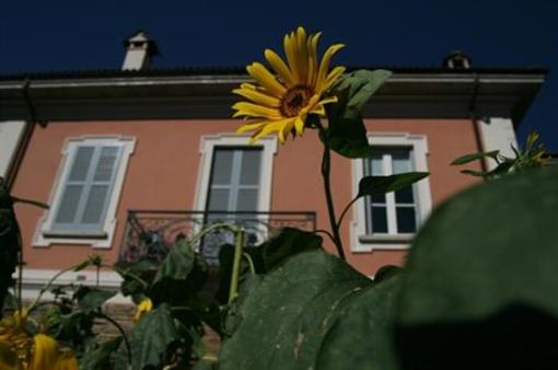 фото отеля B&B Locanda Dei Pini