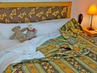 фото отеля Auberge Des Jonquilles