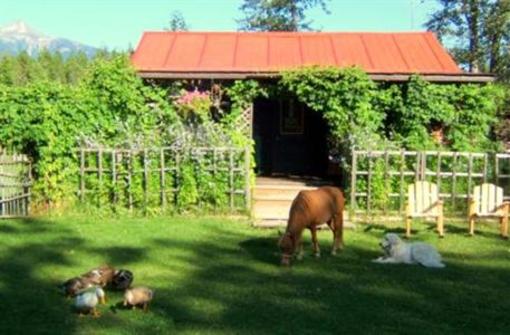 фото отеля Teepee Meadows Guest Cottages