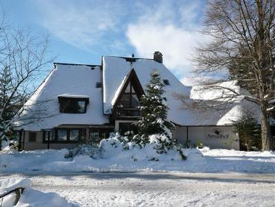 фото отеля Amselhof Apart Hotel Hinterzarten