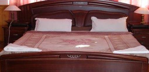 фото отеля Sidlon Residency Hotel Gangtok