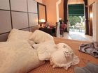 фото отеля Hotel Luna