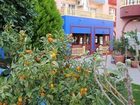 фото отеля Marina Playa de Torrevieja