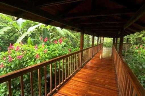 фото отеля Selva Verde Lodge