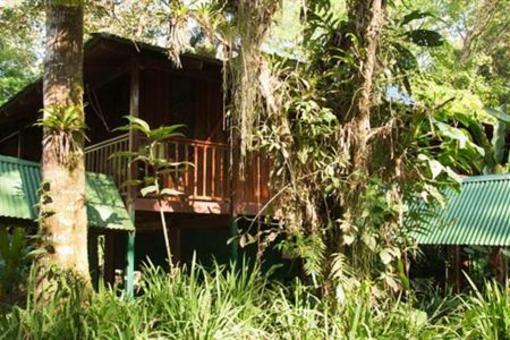 фото отеля Selva Verde Lodge