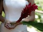 фото отеля Bloomfield Lodge Cairns Cape Tribulation