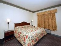 La Copa Inn McAllen
