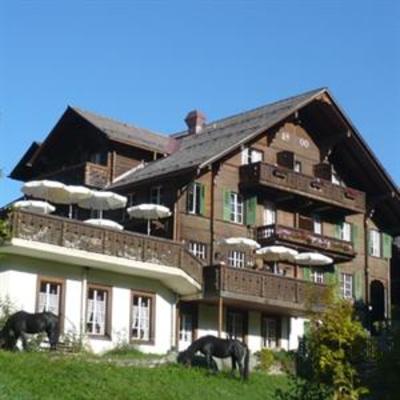 фото отеля Hotel Wildhorn