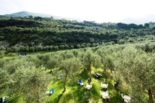 фото отеля Hotel Garni Orchidea