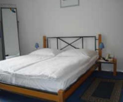 фото отеля Hotel-Pension Bregenz