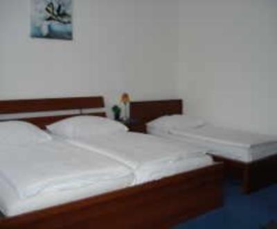 фото отеля Hotel-Pension Bregenz