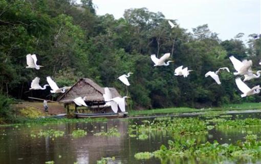 фото отеля Muyuna Amazon Lodge