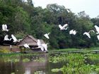 фото отеля Muyuna Amazon Lodge