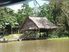 фото отеля Muyuna Amazon Lodge