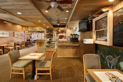фото отеля Amelia's Hospitality Inn & Suites Airport