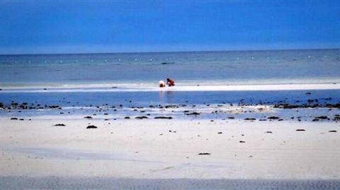 фото отеля Dumaluan Beach Resort
