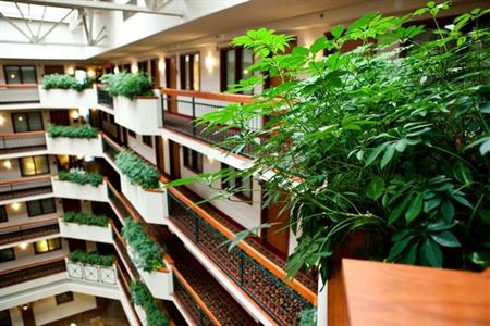 фото отеля Embassy Suites Hotel Austin / Arboretum