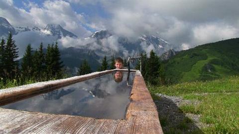 фото отеля Alpina Hotel Murren