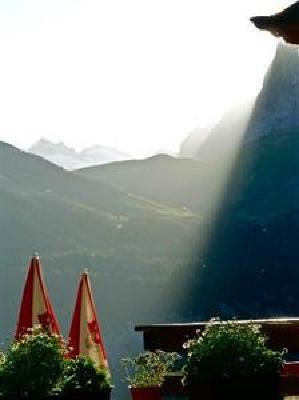 фото отеля Alpina Hotel Murren