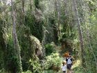 фото отеля Rosaleda Del Mijares