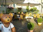 фото отеля Teddybarenhotel Peterhof Kressbronn am Bodensee