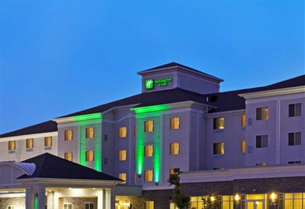 фото отеля Holiday Inn & Suites Airport