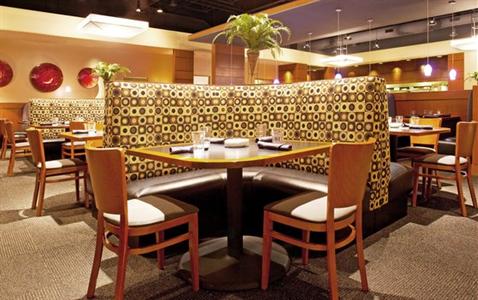 фото отеля Holiday Inn & Suites Airport