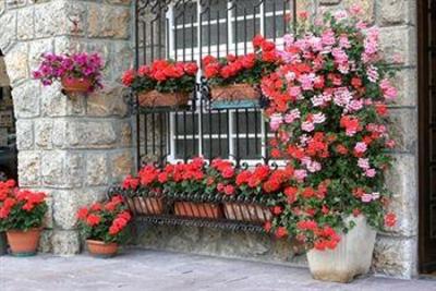 фото отеля Hotel Des Alpes Castione della Presolana