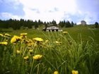 фото отеля Hotel Des Alpes Castione della Presolana