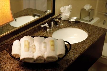фото отеля Holiday Inn Phoenix Downtown North