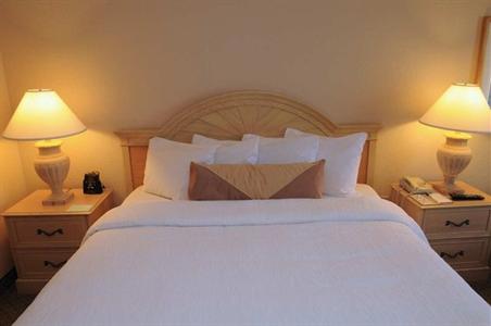 фото отеля Hilton Garden Inn Atlanta North/Johns Creek