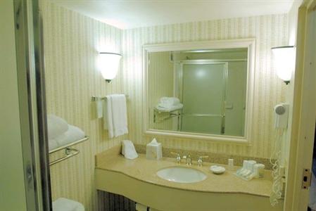 фото отеля Hilton Garden Inn Atlanta North/Johns Creek