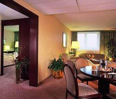фото отеля Maritim Rhein-Main Hotel