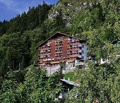 фото отеля Hotel Le Grand Chalet Leysin