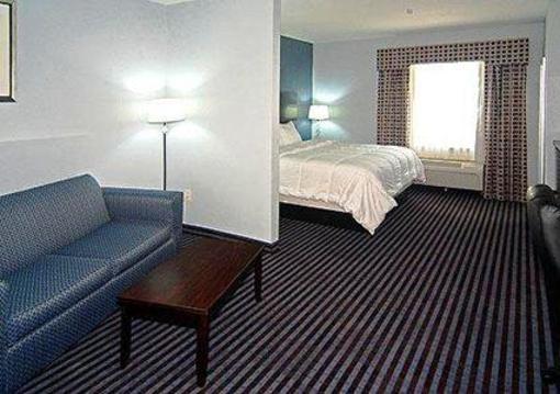 фото отеля Comfort Suites Mineral Wells (Texas)