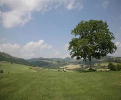 фото отеля Coldimolino Country House